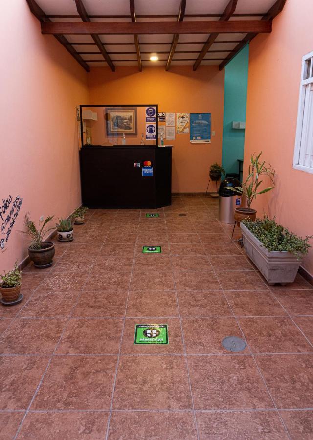Wild Olive Guest House Ica Zewnętrze zdjęcie