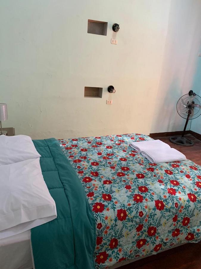 Wild Olive Guest House Ica Zewnętrze zdjęcie