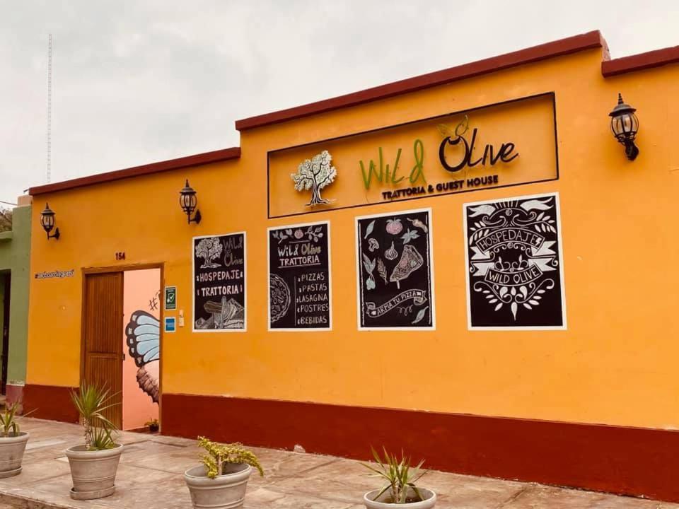 Wild Olive Guest House Ica Zewnętrze zdjęcie