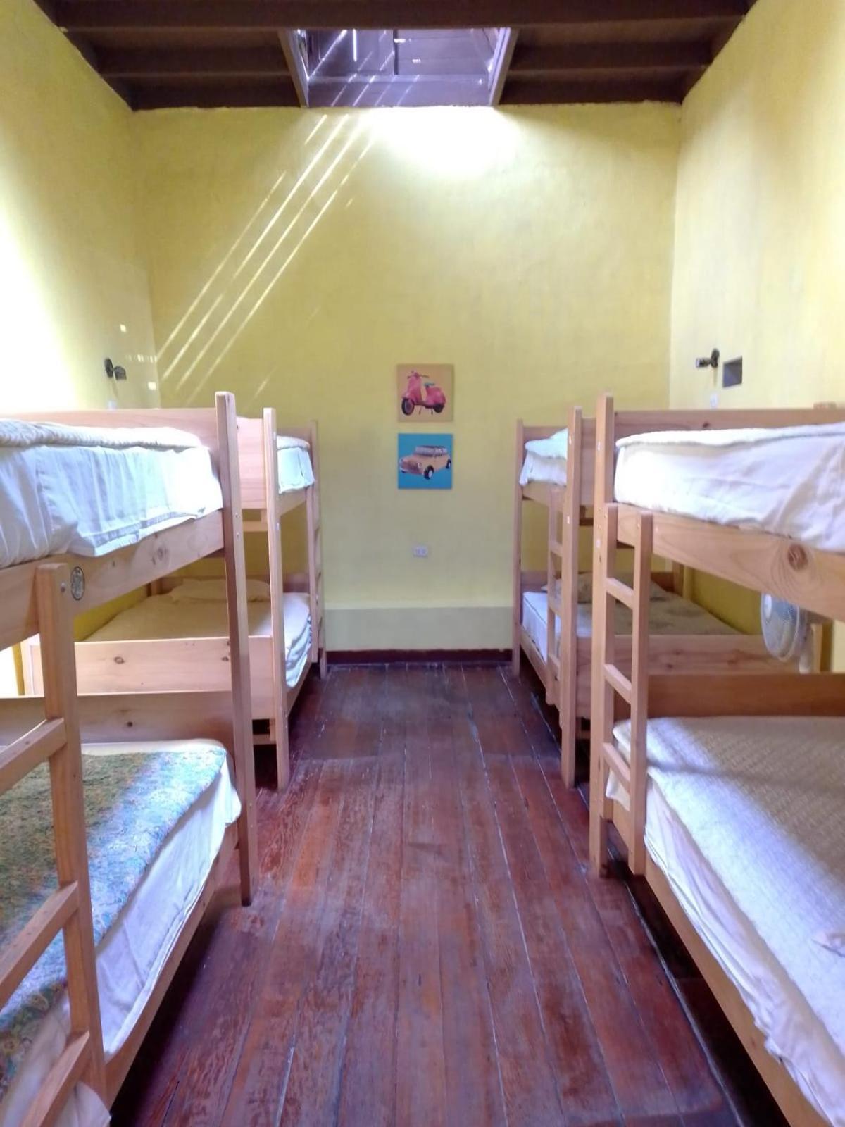 Wild Olive Guest House Ica Zewnętrze zdjęcie